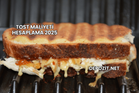 Tost Maliyeti Hesaplama 2025