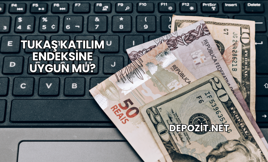 Tukaş Katılım Endeksine Uygun mu?