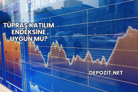 Tüpraş Katılım Endeksine Uygun mu?