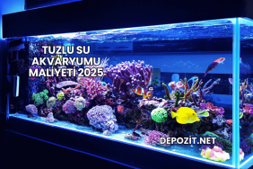 Tuzlu Su Akvaryumu Maliyeti 2025