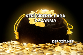 Veri Girerek Para Kazanma