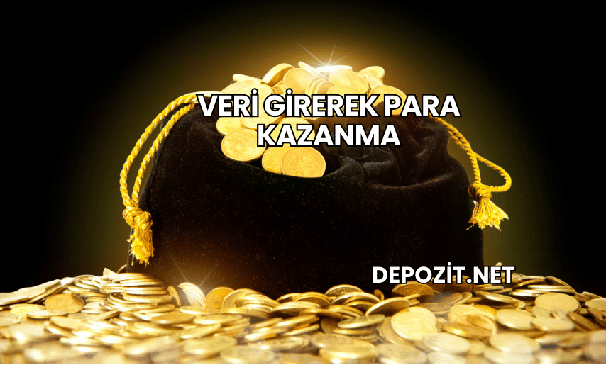 Veri Girerek Para Kazanma