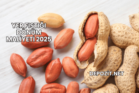 Yer Fıstığı Dönüm Maliyeti 2025