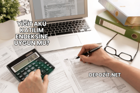 Yiğit Akü Katılım Endeksine Uygun mu?