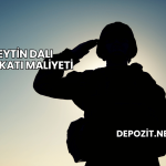 Zeytin Dalı Harekatı Maliyeti