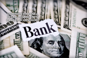 Dominika'da Banka Hesabı Açmak: En İyi Bankalar Hangileri?