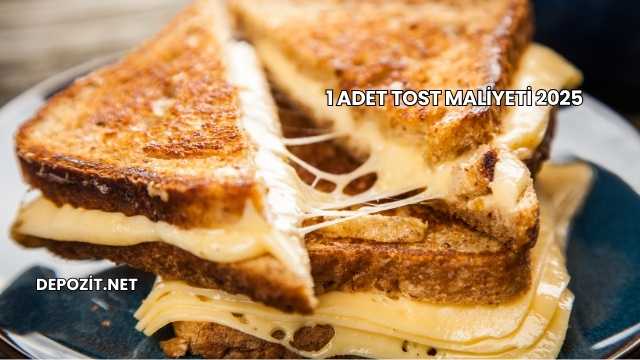 1 Adet Tost Maliyeti 2025