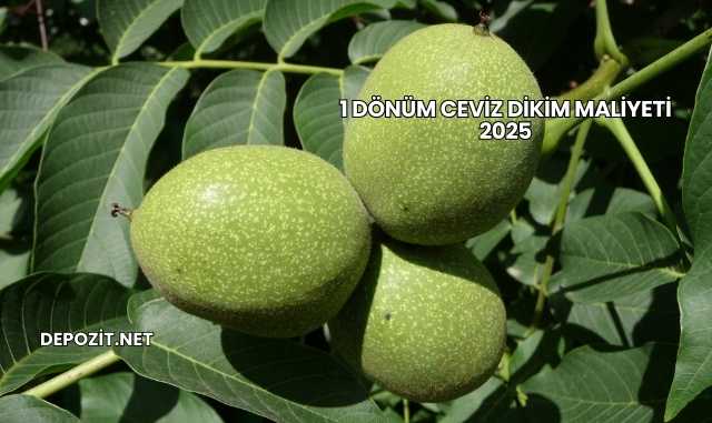 1 Dönüm Ceviz Dikim Maliyeti 2025