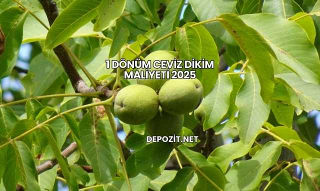 1 Dönüm Ceviz Dikim Maliyeti 2025