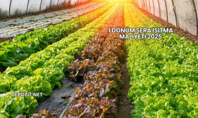 1 Dönüm Sera Isıtma Maliyeti 2025