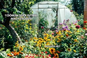 1 Dönüm Sera Isıtma Maliyeti 2025