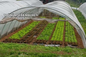 1 Dönüm Sera Maliyeti 2025