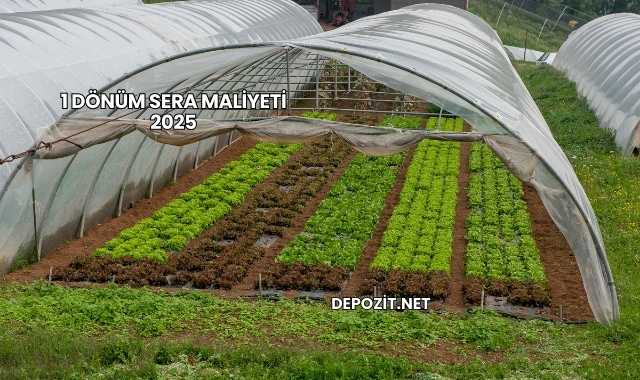 1 Dönüm Sera Maliyeti 2025