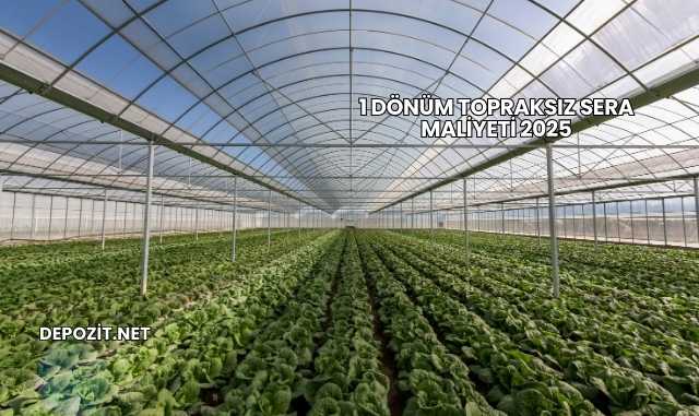 1 Dönüm Topraksız Sera Maliyeti 2025