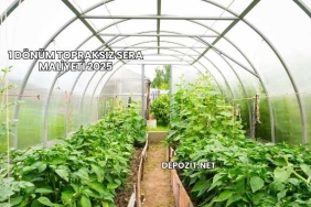 1 Dönüm Topraksız Sera Maliyeti 2025