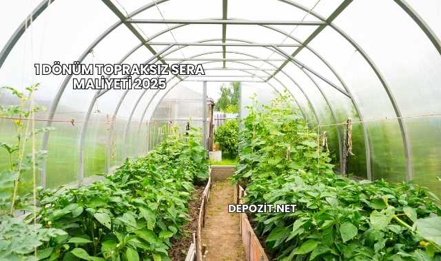 1 Dönüm Topraksız Sera Maliyeti 2025