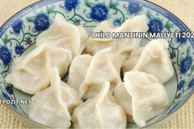 1 Kilo Mantının Maliyeti 20251 Kilo Mantının Maliyeti 2025
