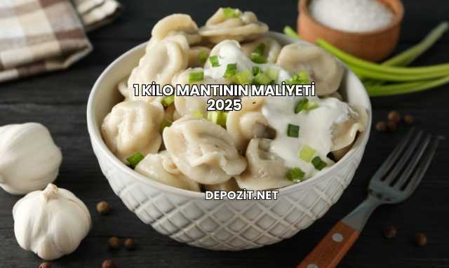 1 Kilo Mantının Maliyeti 2025