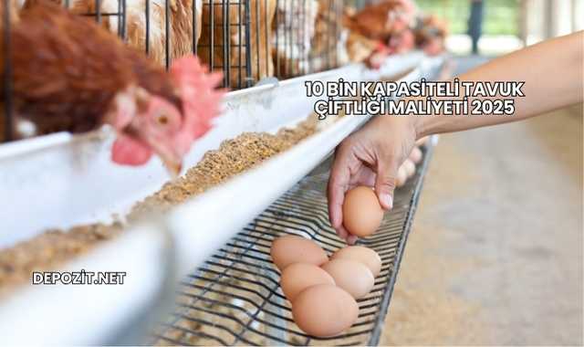 10 Bin Kapasiteli Tavuk Çiftliği Maliyeti 2025