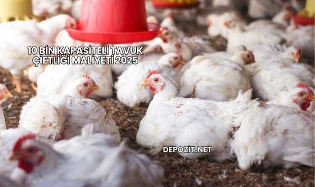 10 Bin Kapasiteli Tavuk Çiftliği Maliyeti 2025
