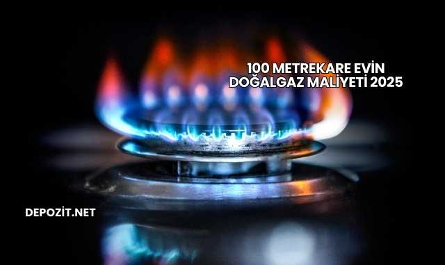 100 Metrekare Evin Doğalgaz Maliyeti 2025