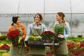 100 m2 Sera Maliyeti 2025