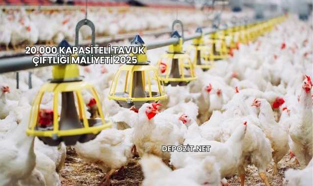 20.000 Kapasiteli Tavuk Çiftliği Maliyeti 2025
