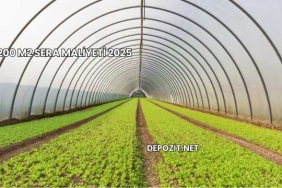 200 m2 Sera Maliyeti 2025