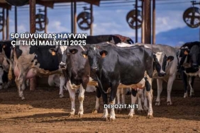 50 Büyükbaş Hayvan Çiftliği Maliyeti 2025