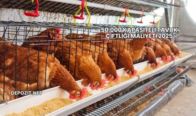 50.000 Kapasiteli Tavuk Çiftliği Maliyeti 2025