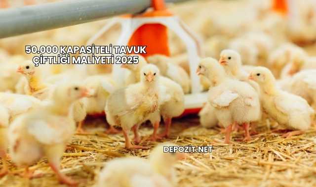 50.000 Kapasiteli Tavuk Çiftliği Maliyeti 2025