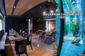 Akvaryum Cafe Maliyeti 2025