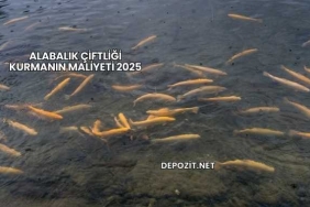 Alabalık Çiftliği Kurmanın Maliyeti 2025