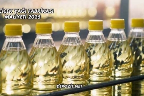 Ayçiçek Yağı Fabrikası Maliyeti 2025