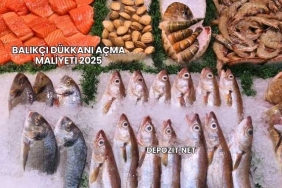 Balıkçı Dükkanı Açma Maliyeti 2025