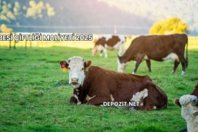 Besi Çiftliği Maliyeti 2025
