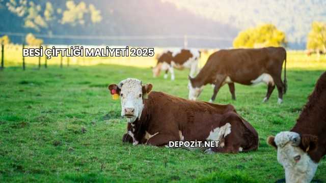 Besi Çiftliği Maliyeti 2025