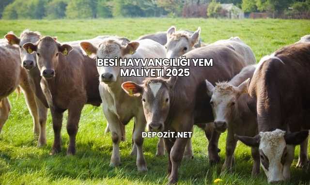 Besi Hayvancılığı Yem Maliyeti 2025