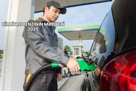 Bir Litre Benzinin Maliyeti 2025