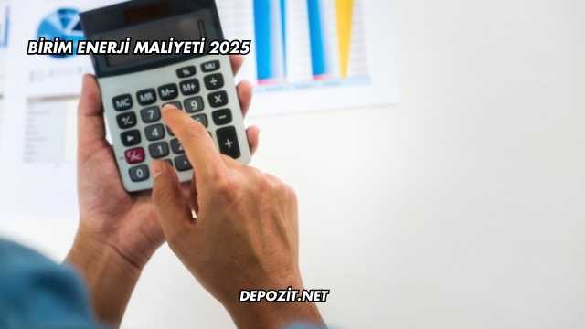 Birim Enerji Maliyeti 2025