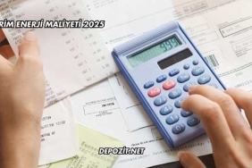 Birim Enerji Maliyeti 2025