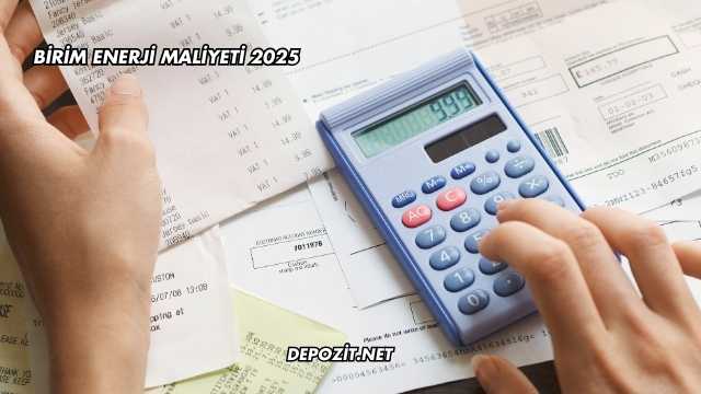 Birim Enerji Maliyeti 2025