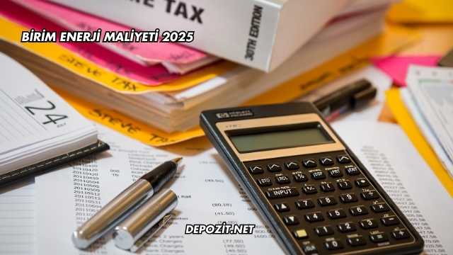 Birim Enerji Maliyeti 2025