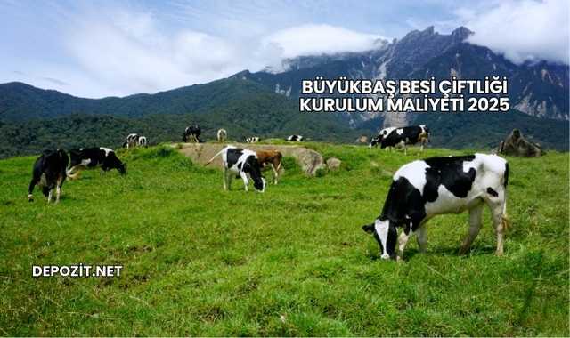 Büyükbaş Besi Çiftliği Kurulum Maliyeti 2025