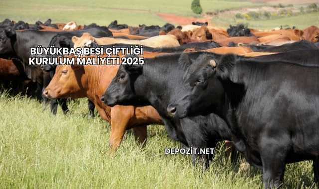 Büyükbaş Besi Çiftliği Kurulum Maliyeti 2025