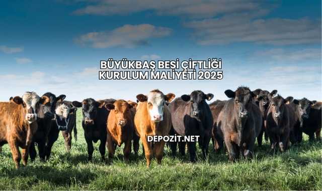 Büyükbaş Besi Çiftliği Kurulum Maliyeti 2025