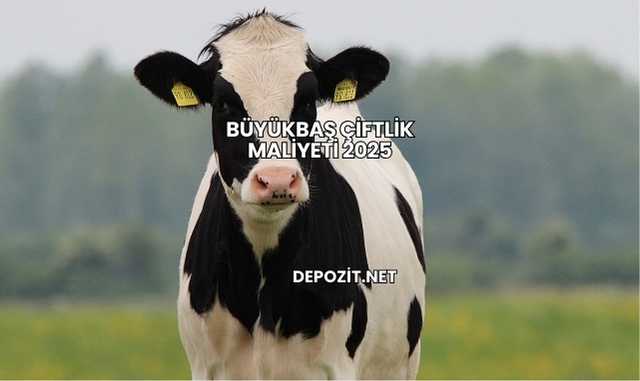 Büyükbaş Çiftlik Maliyeti 2025