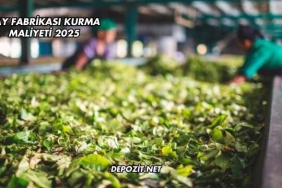 Çay Fabrikası Kurma Maliyeti 2025