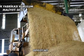 Çeltik Fabrikası Kurulum Maliyeti 2025