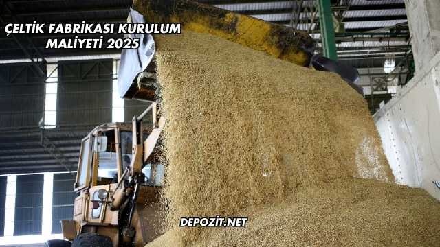 Çeltik Fabrikası Kurulum Maliyeti 2025